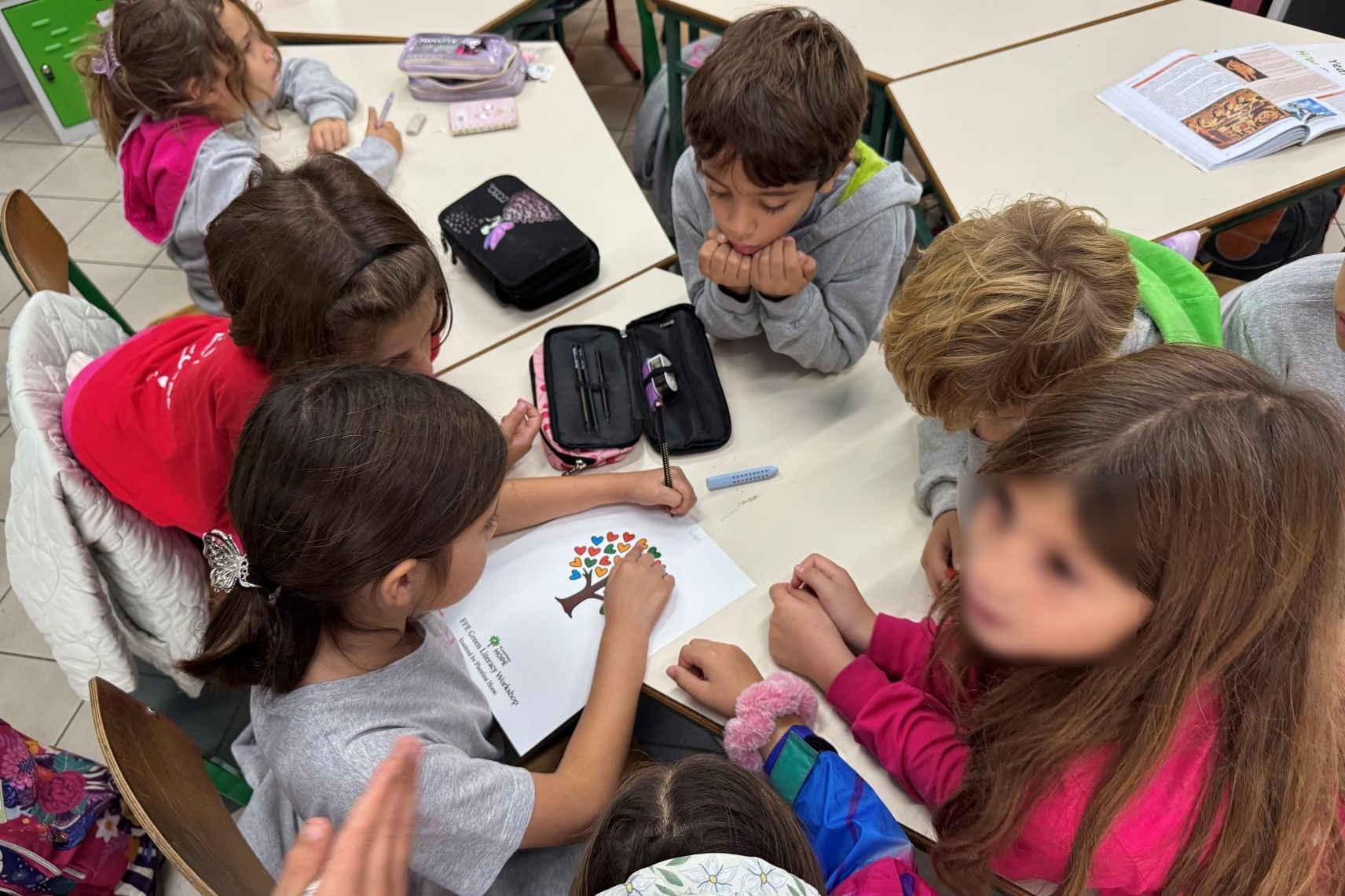 FFE green literacy workshop DES school